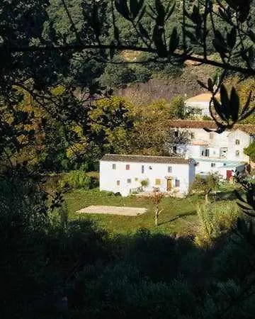 Molino De Simón