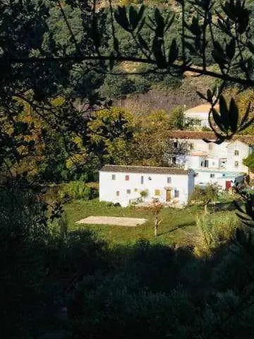 Molino De Simon
